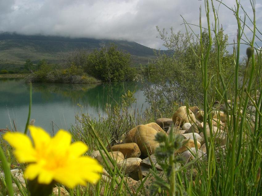 Al Viento, Alojamiento & Turismo Rural Pradena Del Rincon Zewnętrze zdjęcie