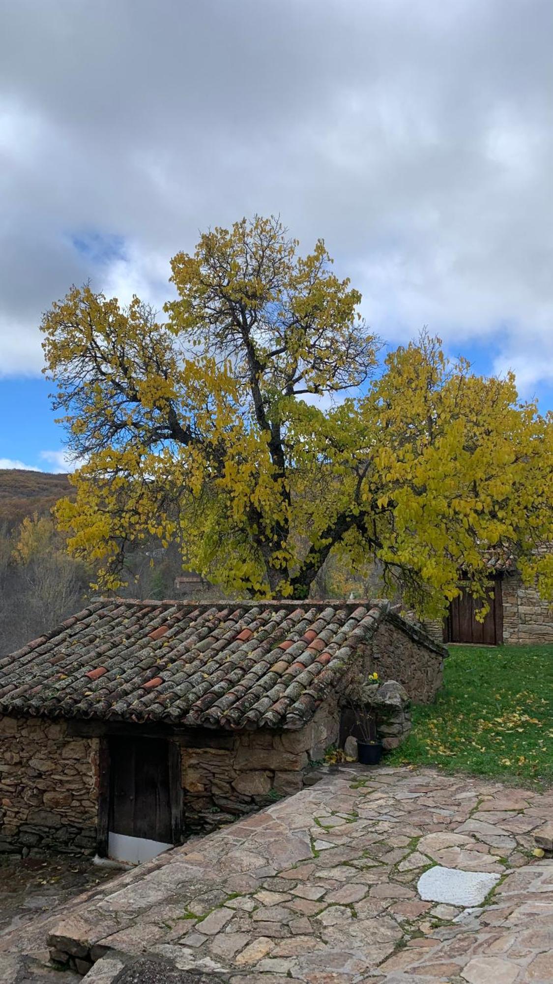 Al Viento, Alojamiento & Turismo Rural Pradena Del Rincon Zewnętrze zdjęcie