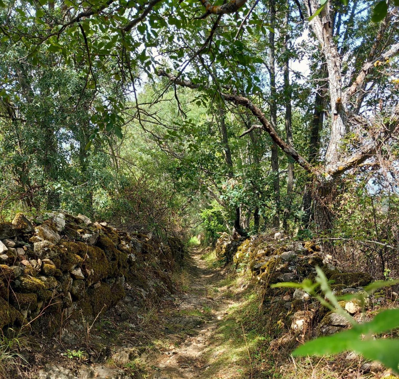Al Viento, Alojamiento & Turismo Rural Pradena Del Rincon Zewnętrze zdjęcie