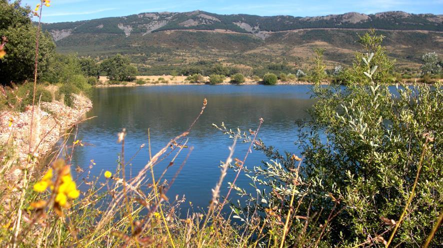 Al Viento, Alojamiento & Turismo Rural Pradena Del Rincon Zewnętrze zdjęcie