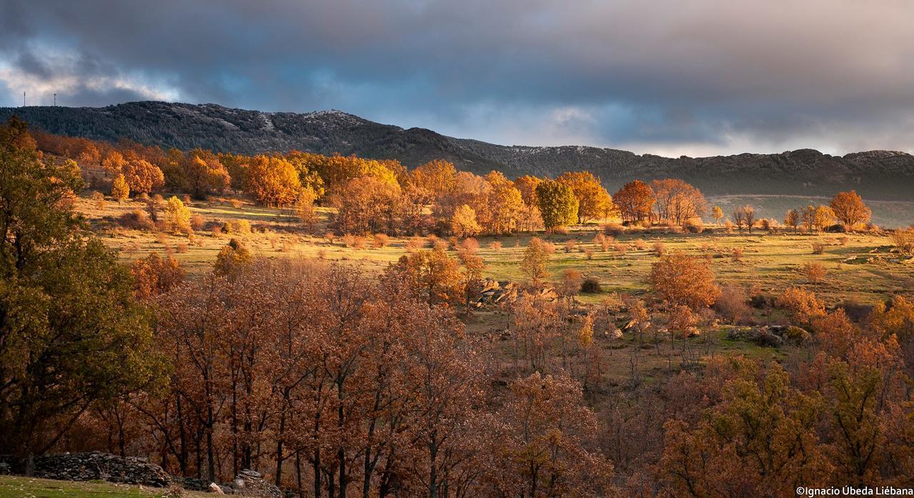 Al Viento, Alojamiento & Turismo Rural Pradena Del Rincon Zewnętrze zdjęcie